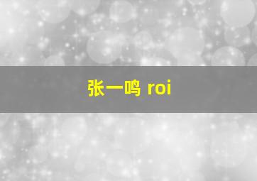 张一鸣 roi